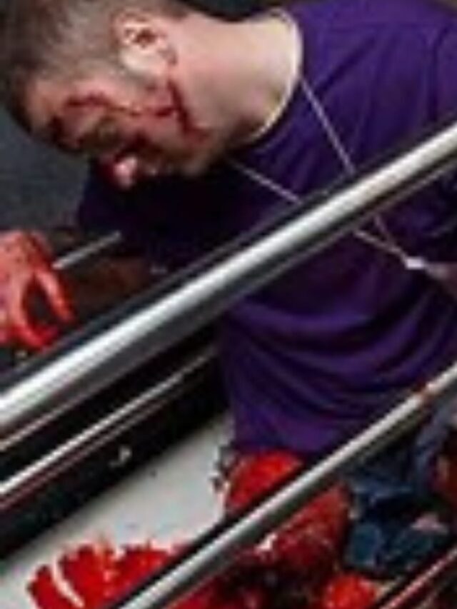 Back Odisha train accident: Cause of accident identified that killed 275 passengers. Here are top 10 updates you need to know